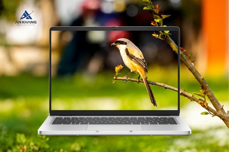 Màn hình 14 inch FHD+, tỷ lệ 16:10 mở rộng không gian hiển thị, hình ảnh rõ nét, màu sắc chân thực ở góc nhìn rộng