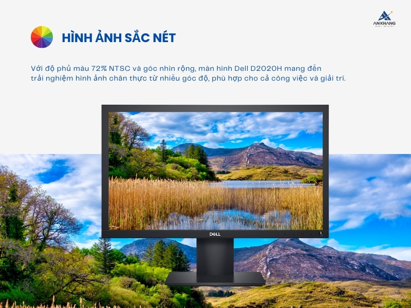 Màn hình Dell D2020H cho màu sắc ổn định ở nhiều góc độ