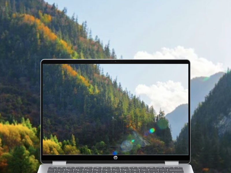 Chất lượng hiển thị sắc n&eacute;t v&agrave; m&agrave;u sắc ch&acirc;n thực tr&ecirc;n laptop HP OmniBook 2025 của nh&agrave; HP