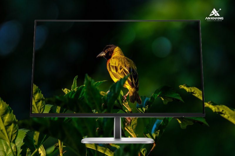 Màn hình HP Series 5 Pro 527pq 9D9S0UT hiển thị 2K sắc nét, chuẩn màu 100%sRGB