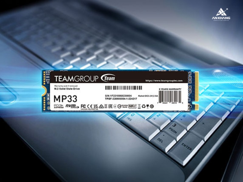 Ổ cứng SSD Team Group TM8FP6256G0C101 nổi bật với độ bền bỉ cao