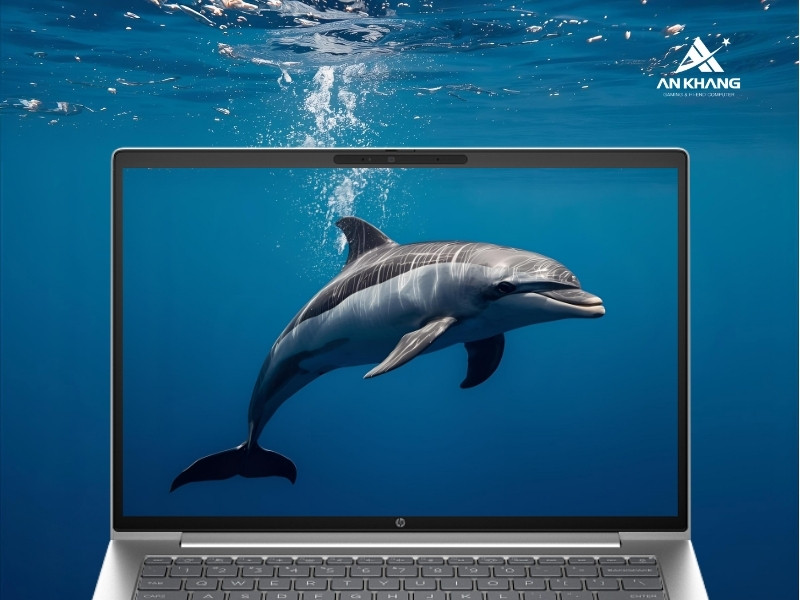 Laptop HP ProBook 440 G11 A74BHPT hiển thị rõ nét, màu sắc chân thực