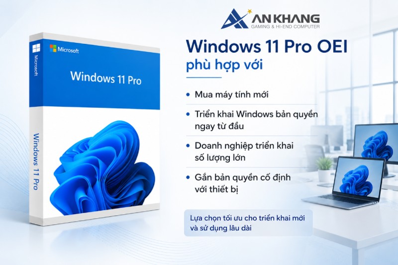 Phần mềm Microsoft Windows Pro 11 64Bit Eng Intl 1pk DSP OEI DVD (FQC-10528) dành cho ai?