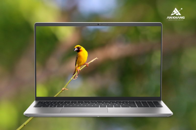 Laptop Dell 15 DC15250 CPH992 cho trải nghiệm hiển thị mượt mà nhờ tần số quét 120Hz