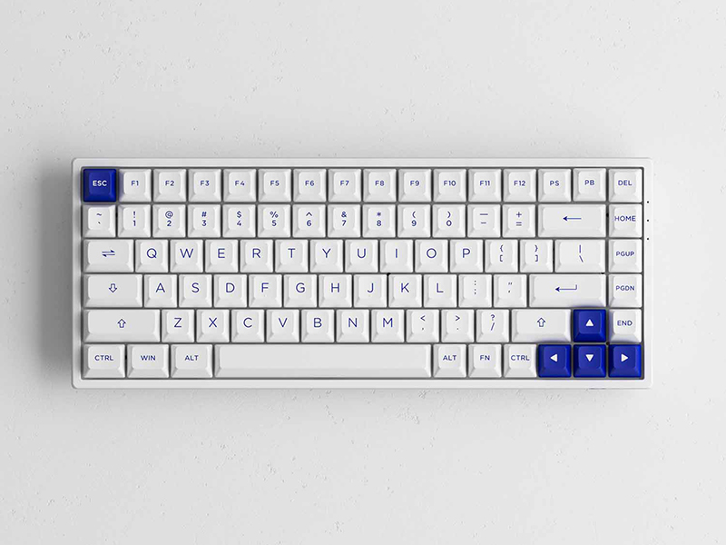Bàn phím không dây AKKO 3068B Plus Multi-modes Blue On White (2.4Ghz - Bluetooth 5.0 - Hotswap - Akko CS Switch Jelly Pink)
