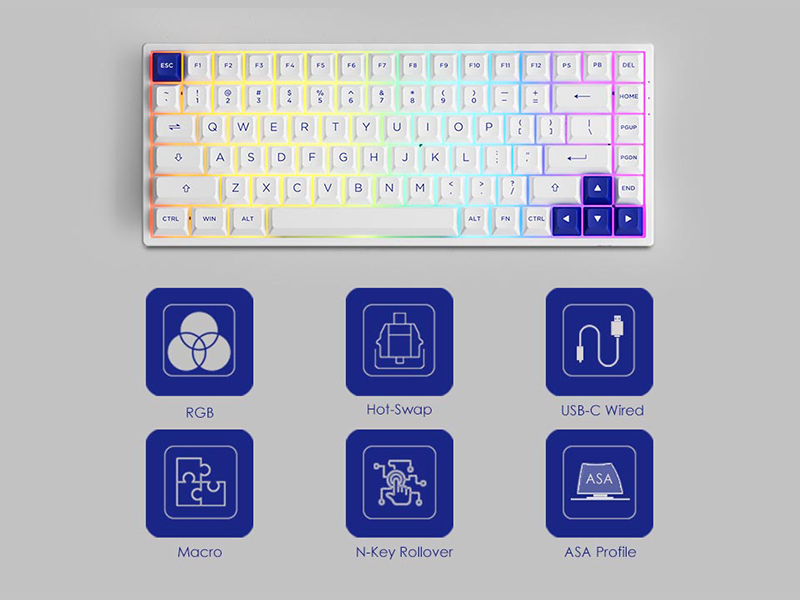 Bàn phím không dây AKKO 3068B Plus Multi-modes Prunus Lannesiana (2.4Ghz - Bluetooth 5.0 - Hotswap - Akko CS Switch Jelly Pink)