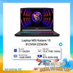 Laptop MSI Katana 15 B13VEK-2256VN 