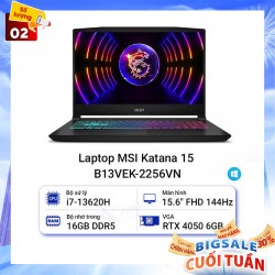 Laptop MSI Katana 15 B13VEK-2256VN 