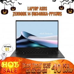 Laptop ASUS Zenbook 14 UM3406KA-PP113WS