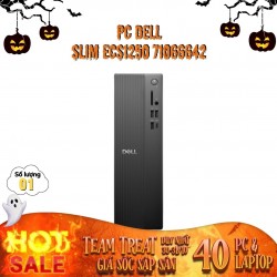 Máy tính để bàn Dell Slim ECS1250 71066642