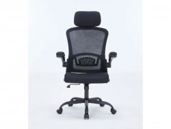 Ghế công thái học Warrior Ergonomic Pawn Series WEC106 Black