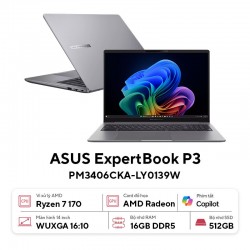Laptop ASUS ExpertBook P3 PM3406CKA-LY0139W