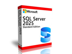 Phần mềm Microsoft SQL Server 2025 Standard Edition Perpetual 1 Server License