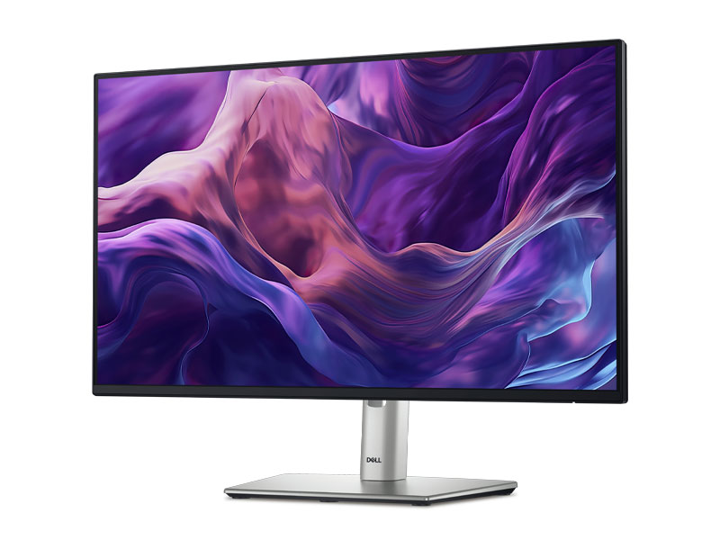 Màn hình LCD Dell P2425H (100Hz - 23.8inch - FHD - IPS - 99% sRGB)