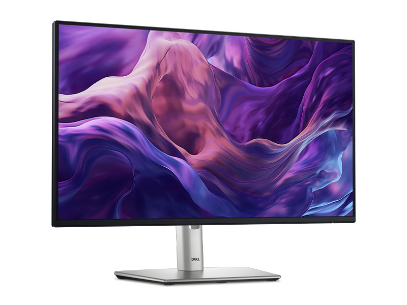 Màn hình LCD Dell P2425H (100Hz - 23.8inch - FHD - IPS - 99% sRGB)