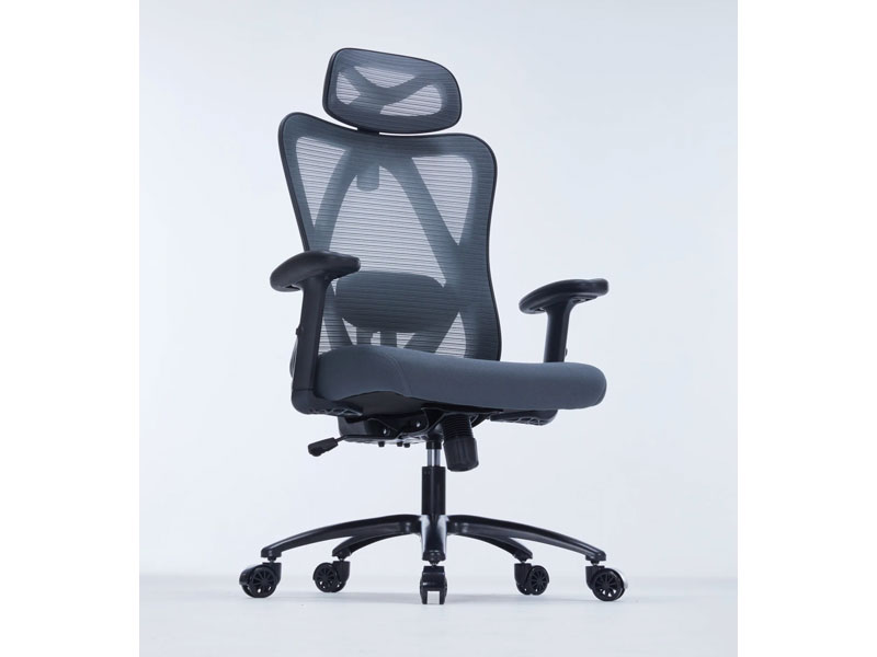 Ghế công thái học Warrior Hero Series WEC501 Plus Black Gray