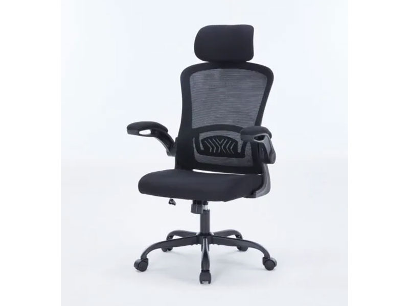 Ghế công thái học Warrior Ergonomic Pawn Series WEC106 Black