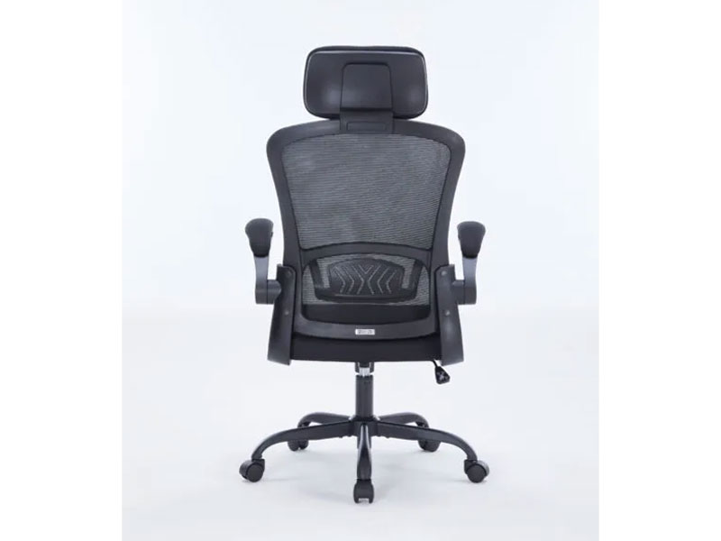Ghế công thái học Warrior Ergonomic Pawn Series WEC106 Black