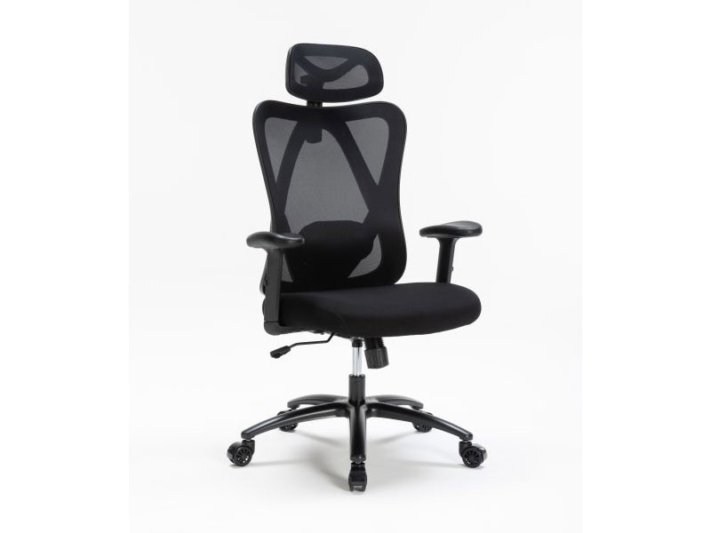 Ghế công thái học Warrior Hero Series WEC501 Plus Black