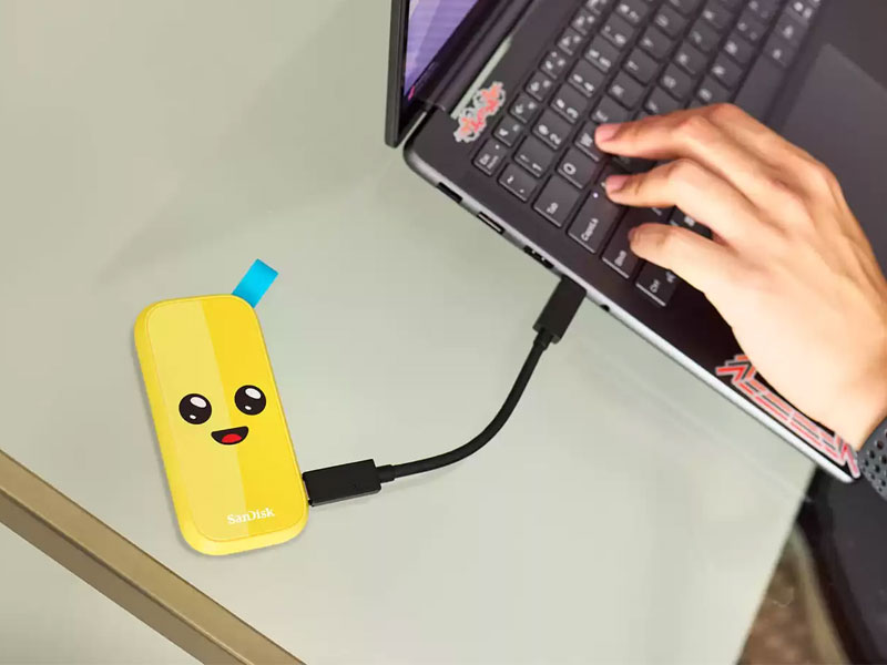 Ổ cứng di động SanDisk SSD 2TB Fortnite Edition SDSSDE30-2T00-G25F
