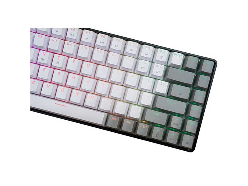 Bàn phím cơ không dây E-DRA EK384 Triple Mode Beta