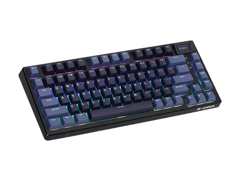 Bàn phím cơ gaming E-DRA EK375PRO Alpha 