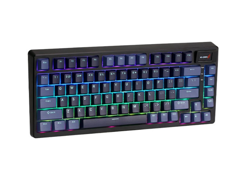 Bàn phím cơ gaming E-DRA EK375PRO Alpha 