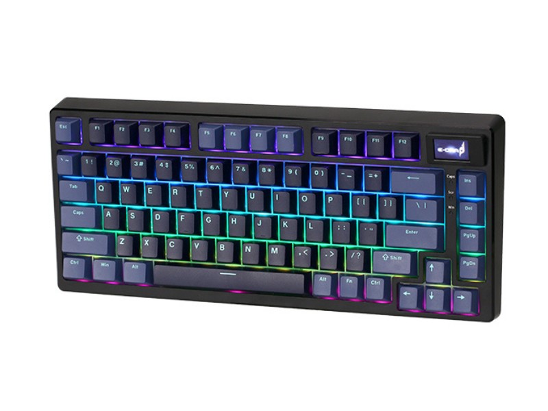 Bàn phím cơ gaming E-DRA EK375PRO Alpha 
